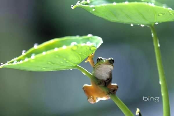 中国加快完善元宇宙游戏行业标准，民族企业重点参与制定规范